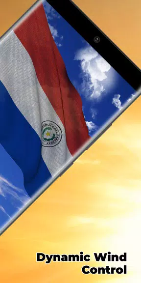 Paraguay Flag Live Wallpaper Screenshot 2