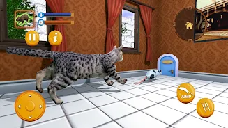 Stray Mouse Family Simulator Screenshot 4