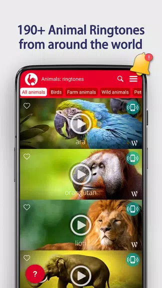 Animals Ringtones Screenshot 1 