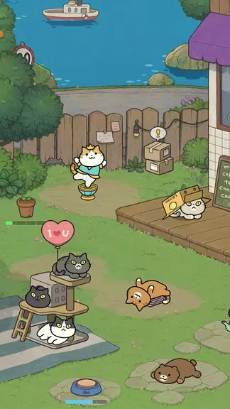 Fantastic Cats Screenshot 1 