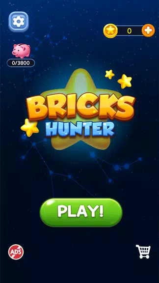 Bricks Hunter : Cube Puzzle Screenshot 1