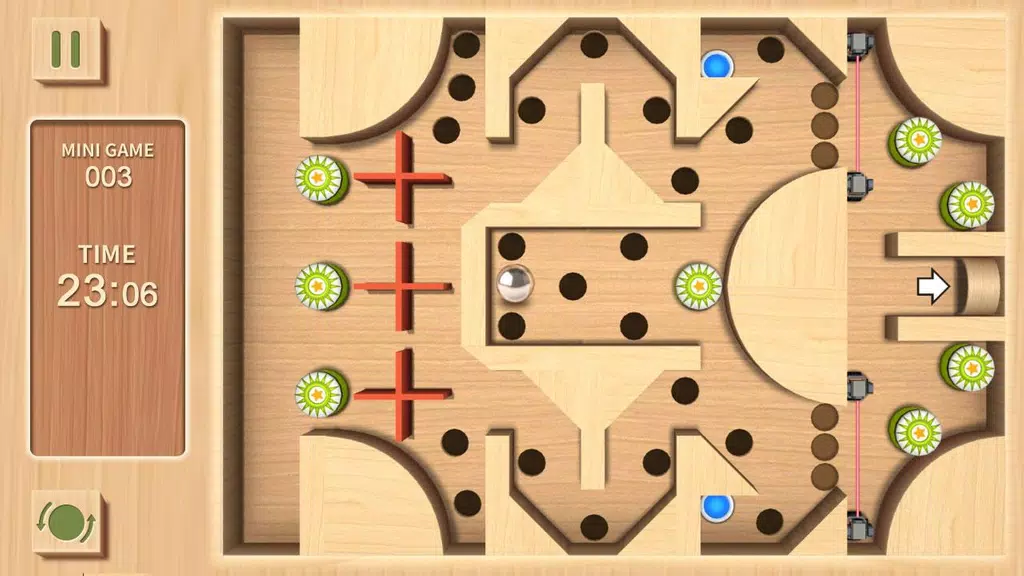 Maze Rolling Ball 3D Screenshot 3 