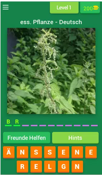 Pflanzen - Deutsch Screenshot 1 