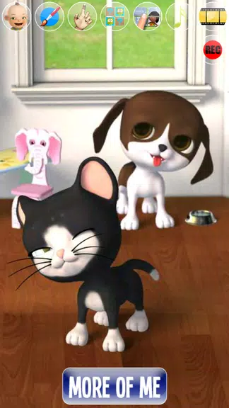 Talking Stars Cat & Dog & Pets Screenshot 4