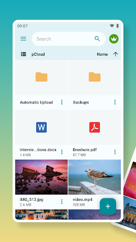 pCloud: Cloud Storage Screenshot 1 