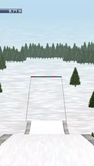 Ski Jump 3D Screenshot 2