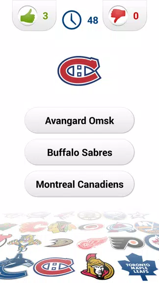 Logo Ice Hockey Quiz Screenshot 2