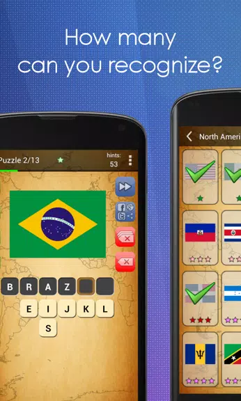 Picture Quiz: Country Flags Screenshot 2 