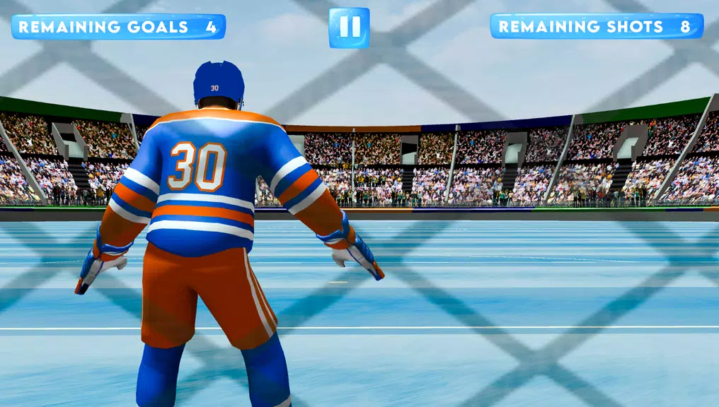 Ice Hockey Classic 3D Screenshot 2