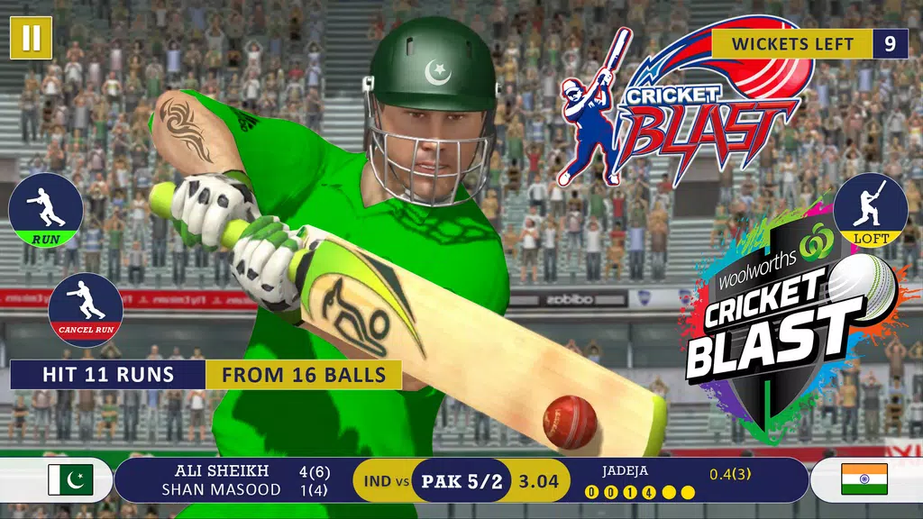 World Cricket : Cricket Games Screenshot 2 