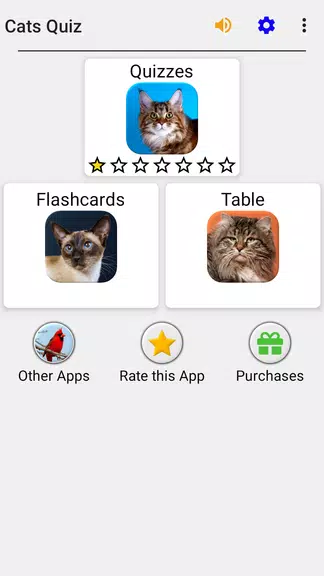 Cats Quiz Guess Popular Breeds Screenshot 3