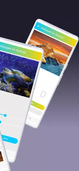 Wallpaper for Android Screenshot 2 