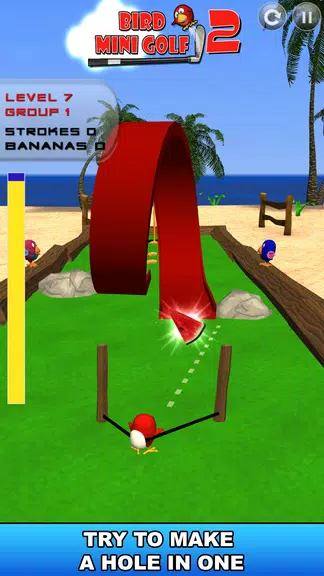 Bird Mini Golf 2 – Beach Fun Screenshot 1