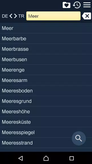 German Turkish Dictionary Screenshot 1