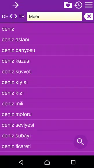 German Turkish Dictionary Screenshot 4