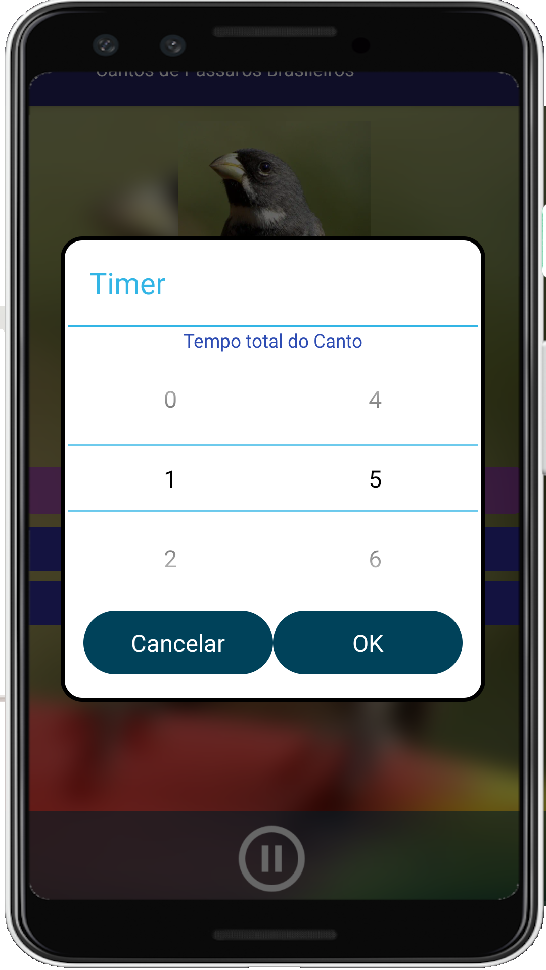 Brazilian's birds sounds Screenshot 10 