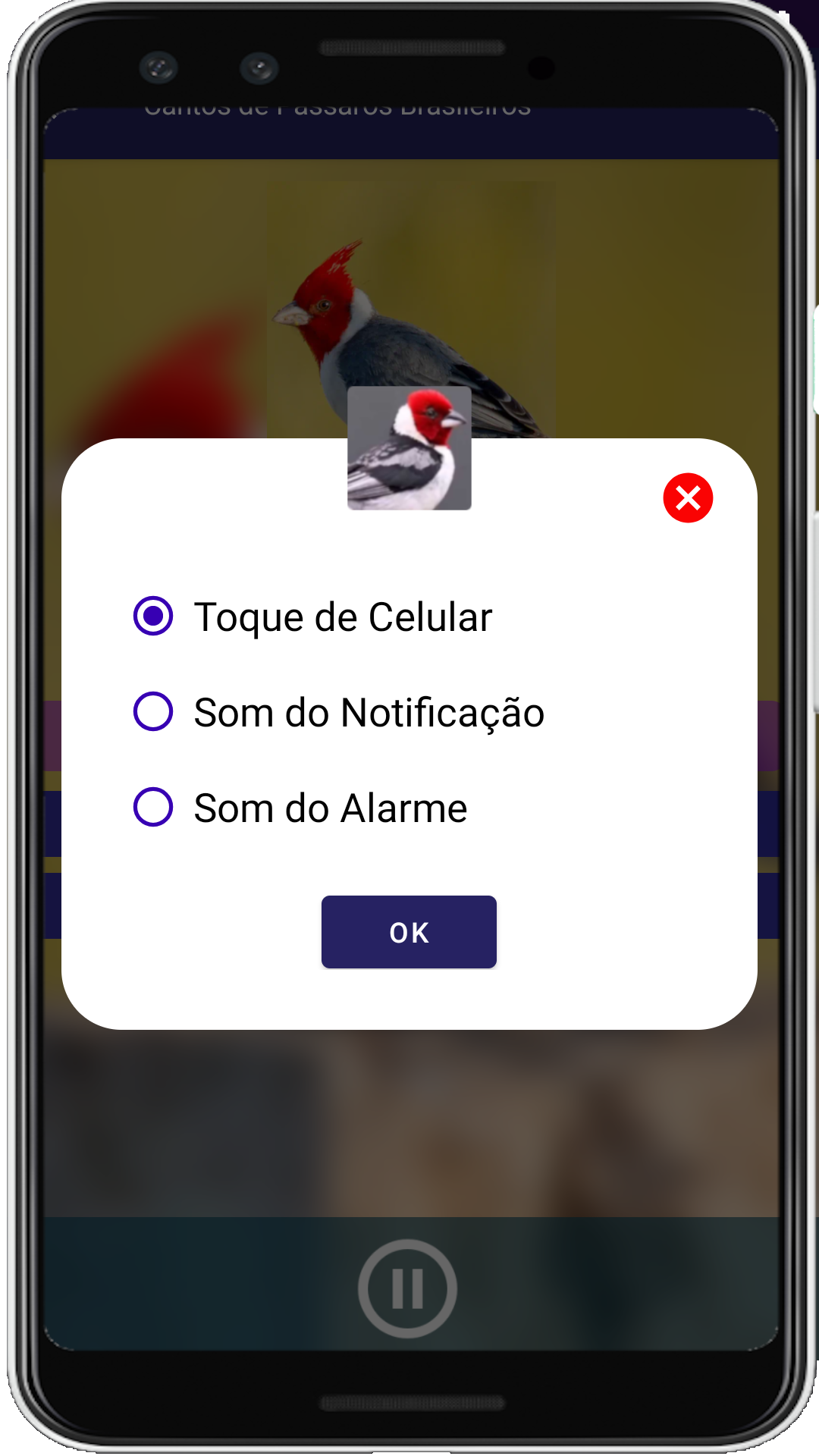 Brazilian's birds sounds Screenshot 7 