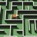 Dog Maze 3D APK