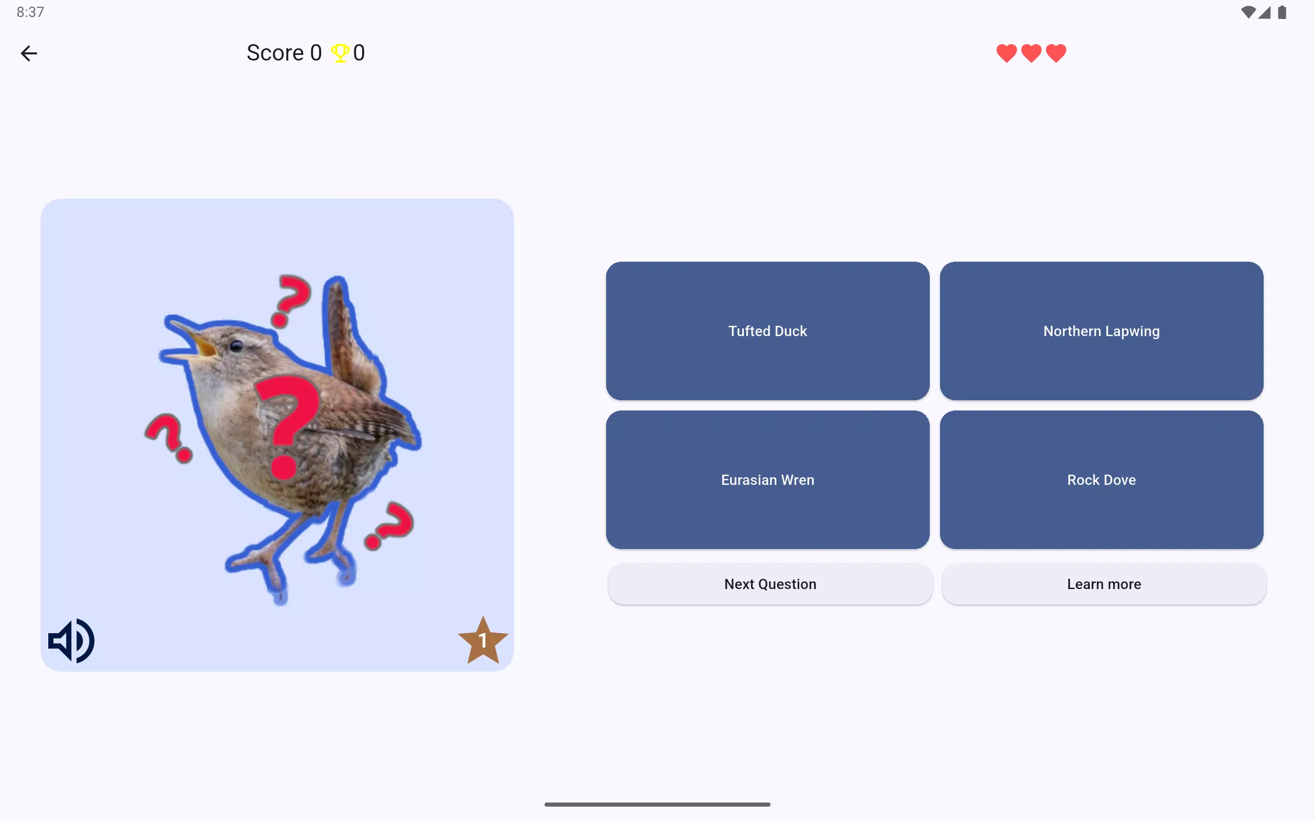 ChirpQuiz Screenshot 6