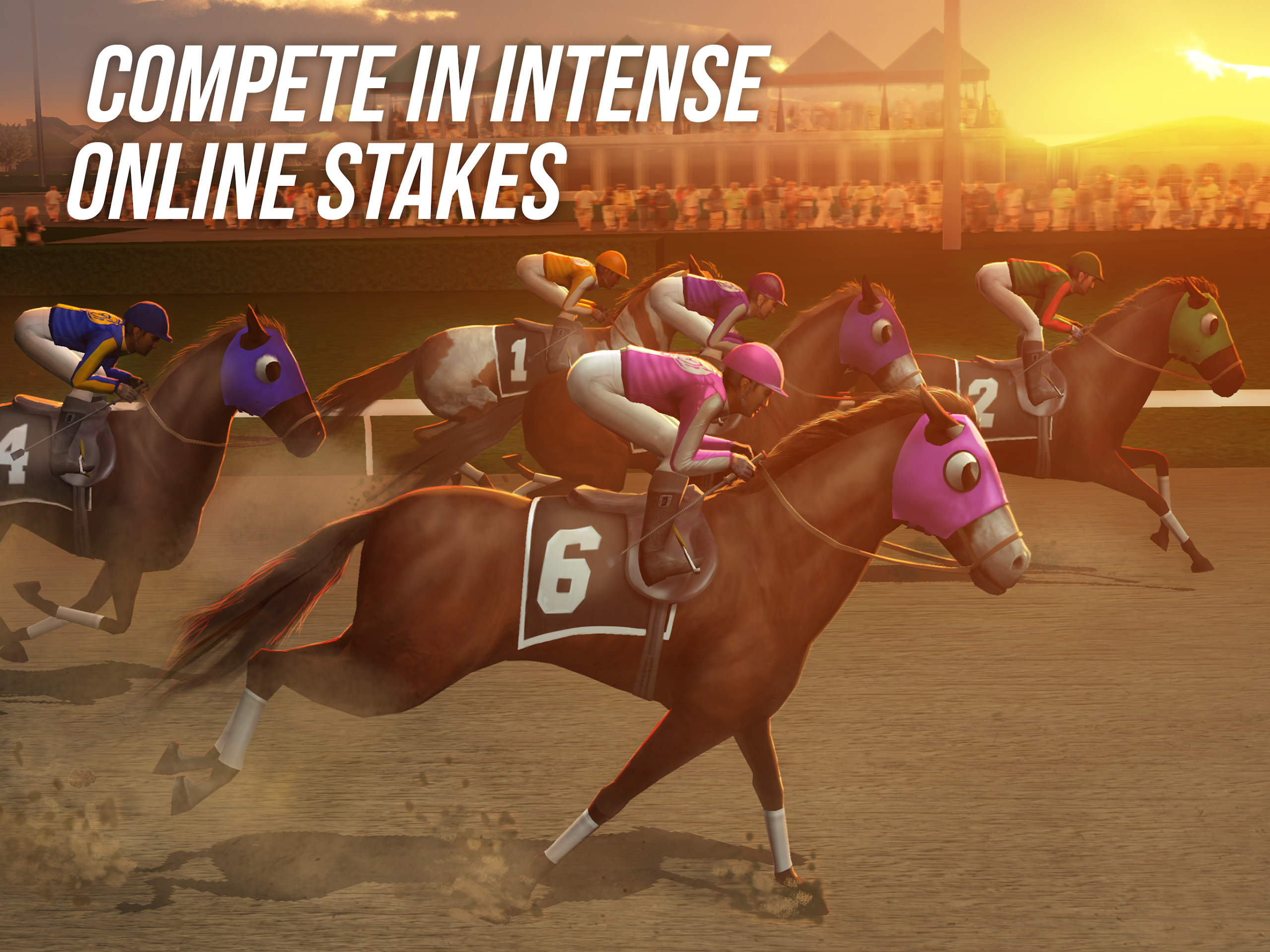 Photo Finish Horse Racing Screenshot 8