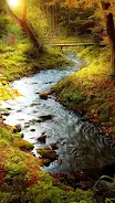 Forest Live Wallpaper Screenshot 5
