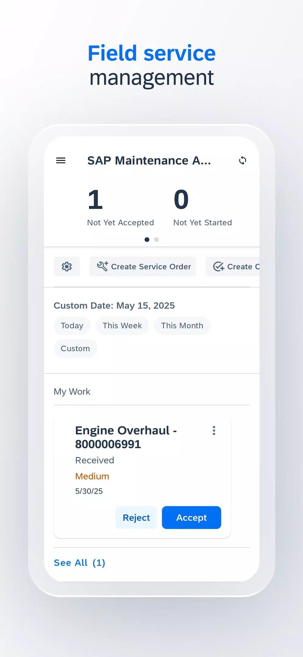 SAP Maintenance Assistant Screenshot 5 
