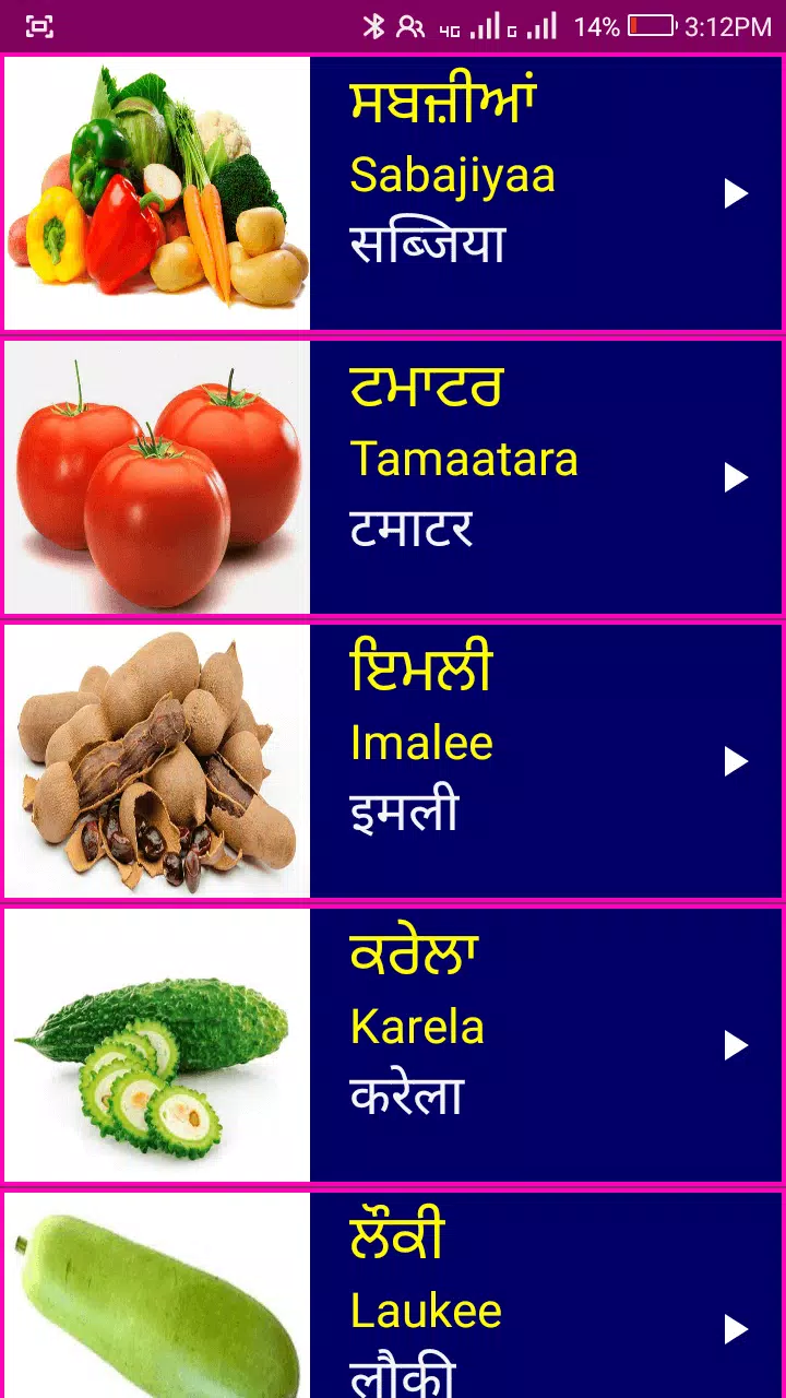 Learn Punjabi From Hindi Screenshot 1 