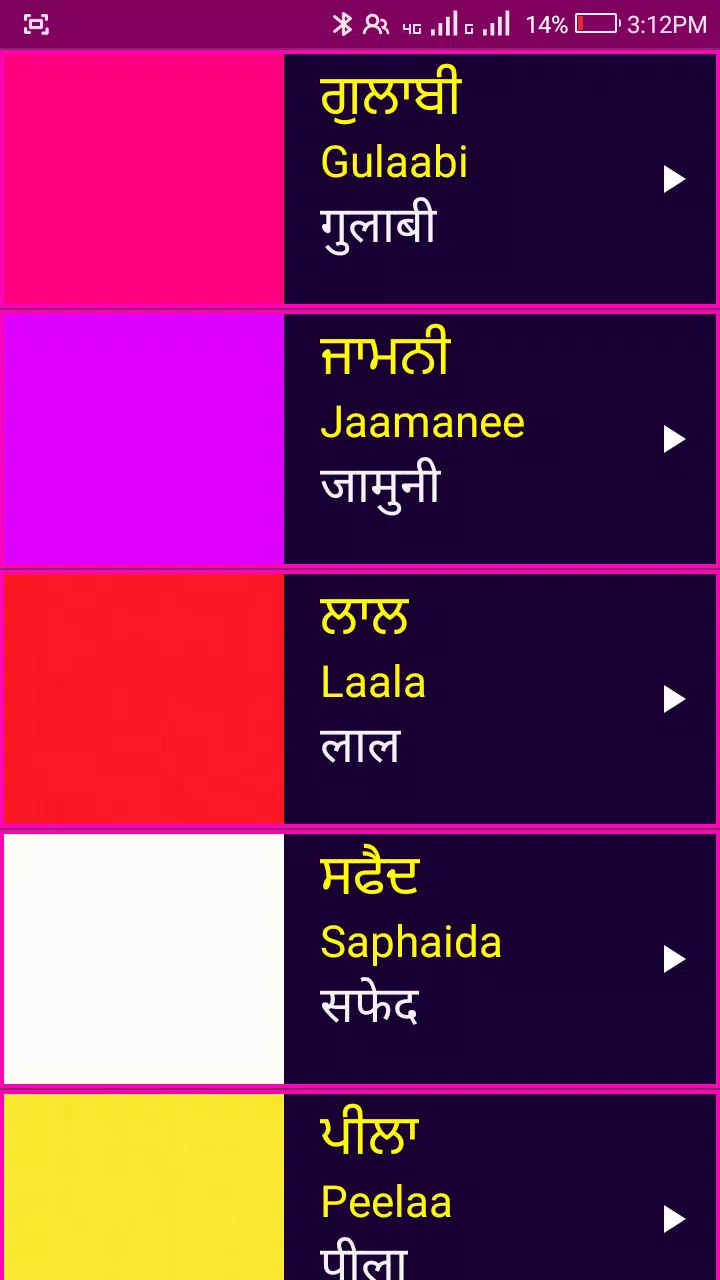 Learn Punjabi From Hindi Screenshot 7 