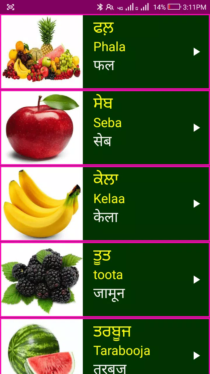 Learn Punjabi From Hindi Screenshot 3 