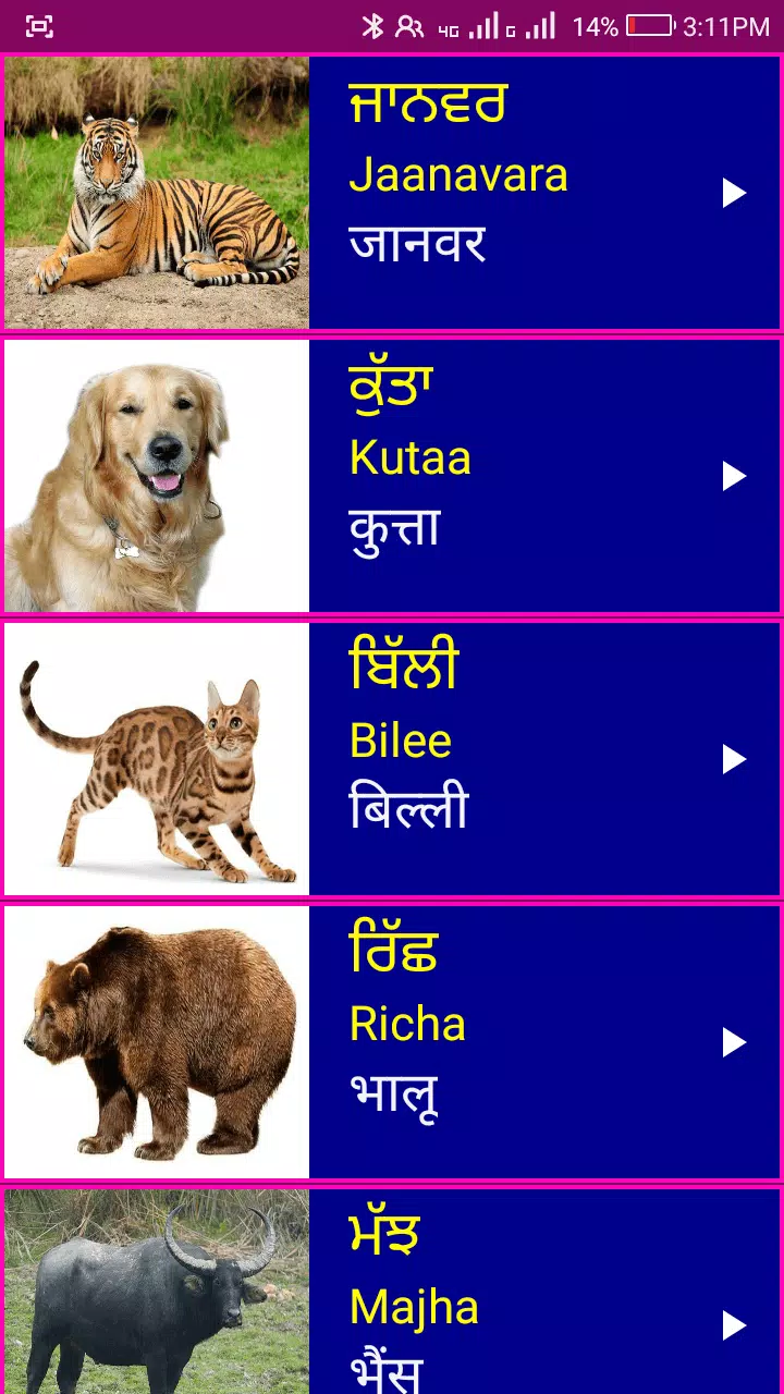 Learn Punjabi From Hindi Screenshot 2 