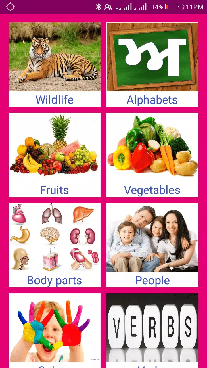 Learn Punjabi From Hindi Screenshot 8 