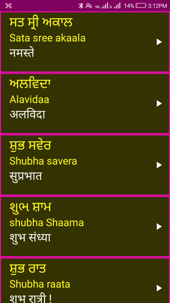 Learn Punjabi From Hindi Screenshot 4 