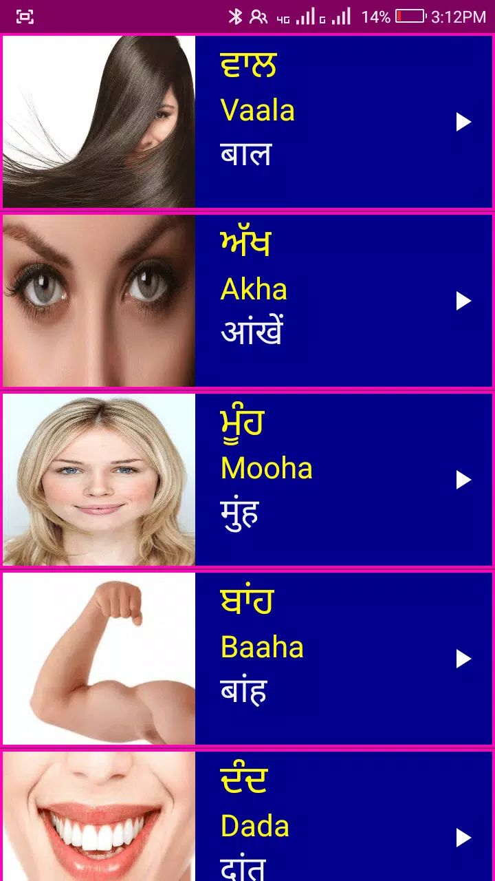 Learn Punjabi From Hindi Screenshot 6 