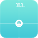 Huawei Body Fat Scale