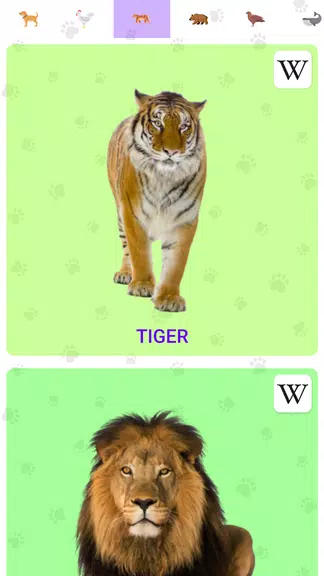 Animal Sounds Screenshot 2