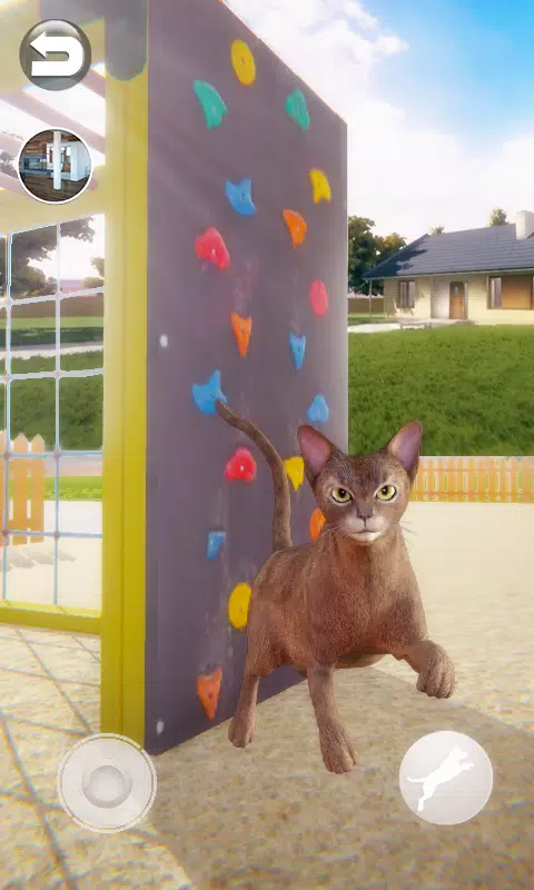 Talking Abyssinian Cat Screenshot 3 