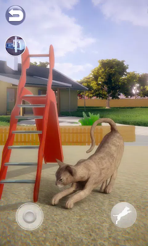 Talking Abyssinian Cat Screenshot 4 