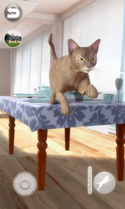 Talking Abyssinian Cat Screenshot 6 