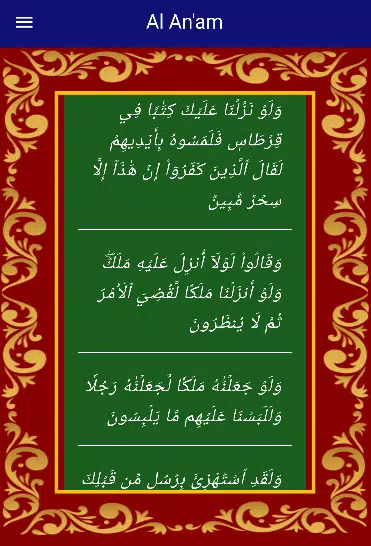 All Quranic Surahs Screenshot 3 