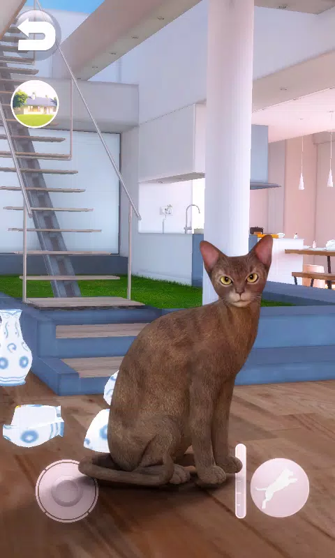 Talking Abyssinian Cat Screenshot 7 