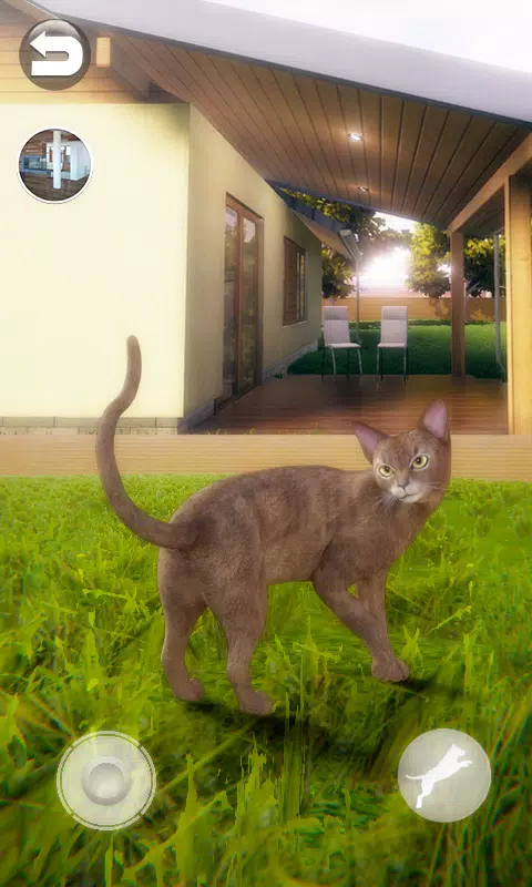 Talking Abyssinian Cat Screenshot 1 