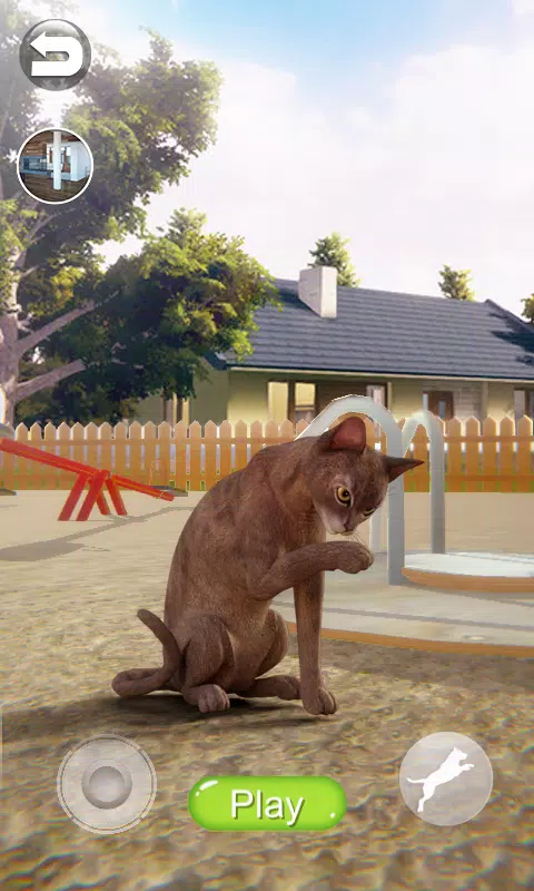 Talking Abyssinian Cat Screenshot 2 