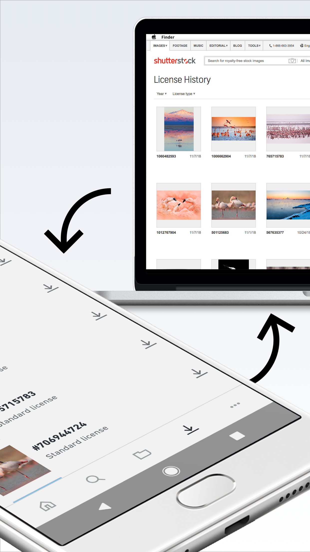 Shutterstock Screenshot 5