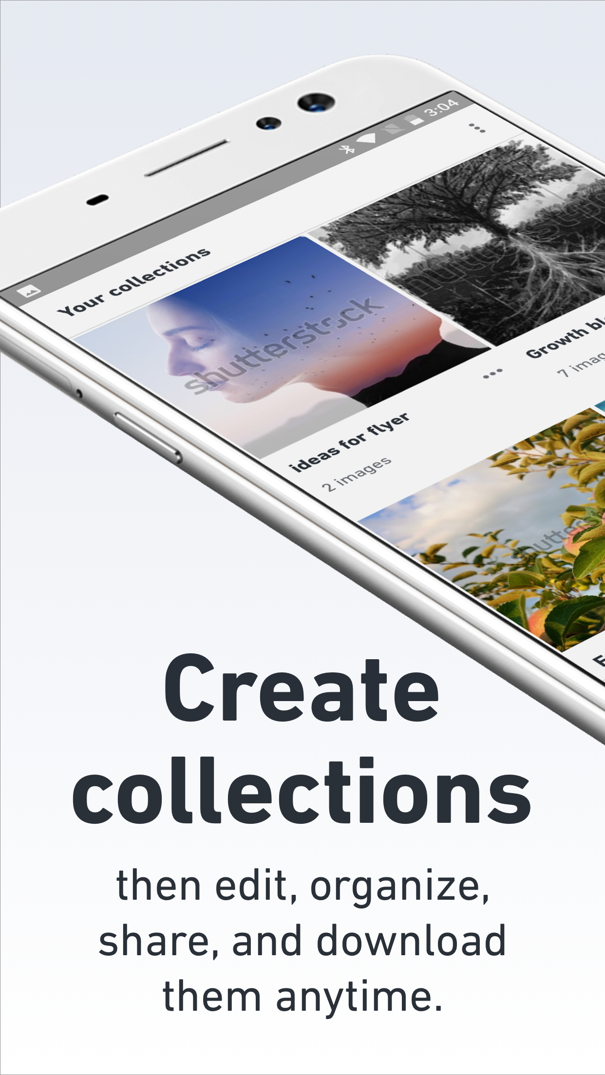 Shutterstock Screenshot 6