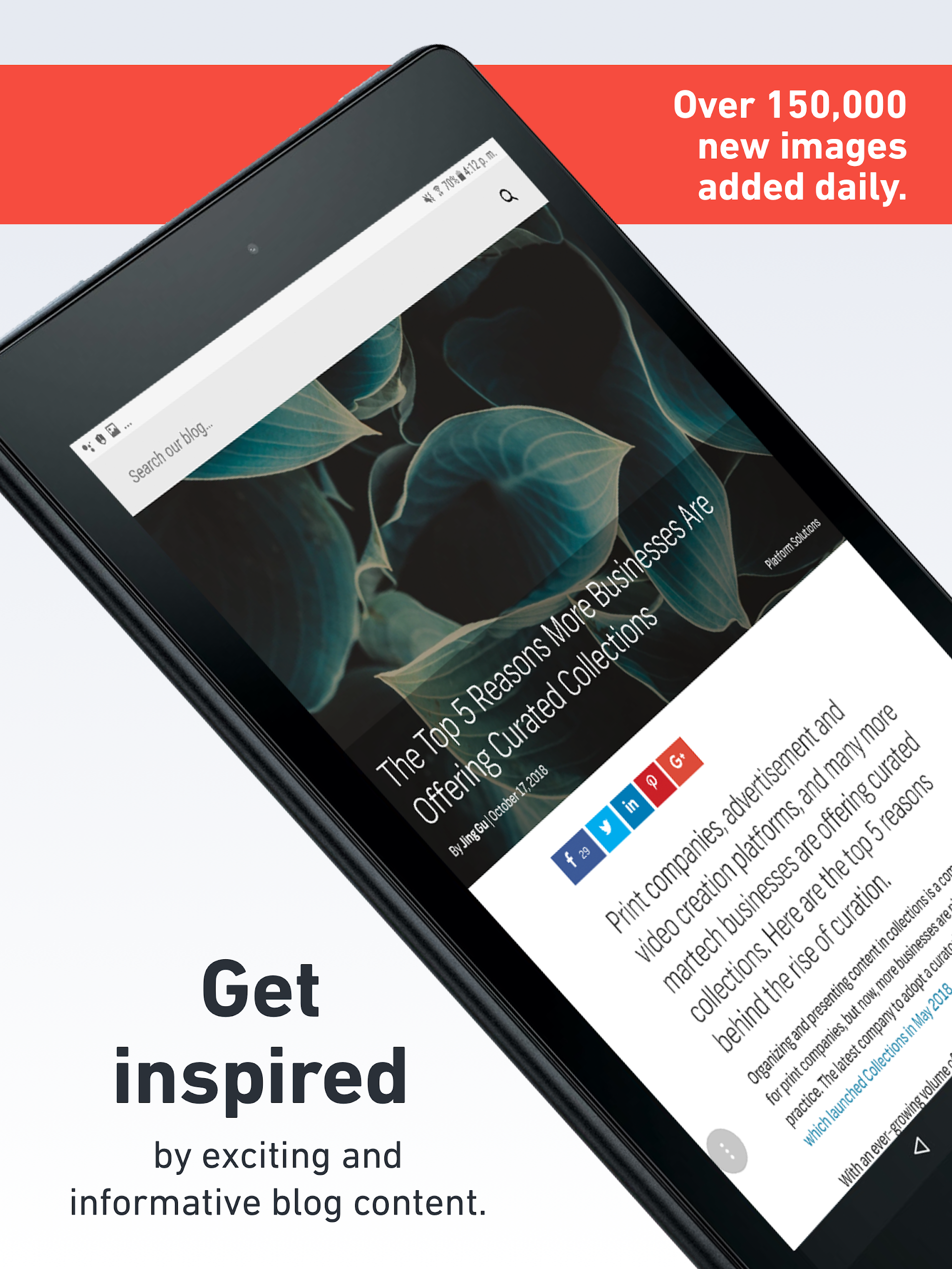 Shutterstock Screenshot 13