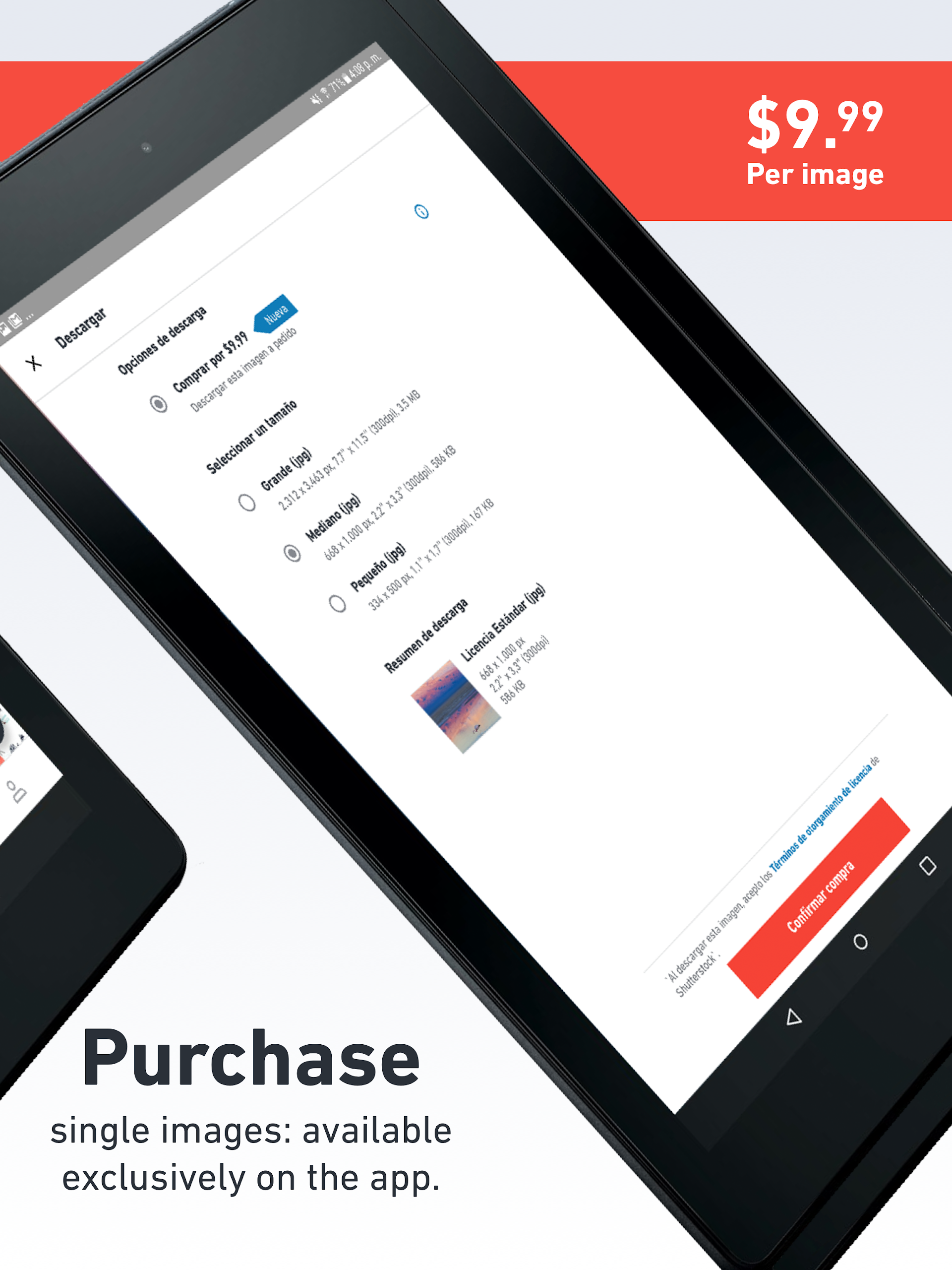 Shutterstock Screenshot 10