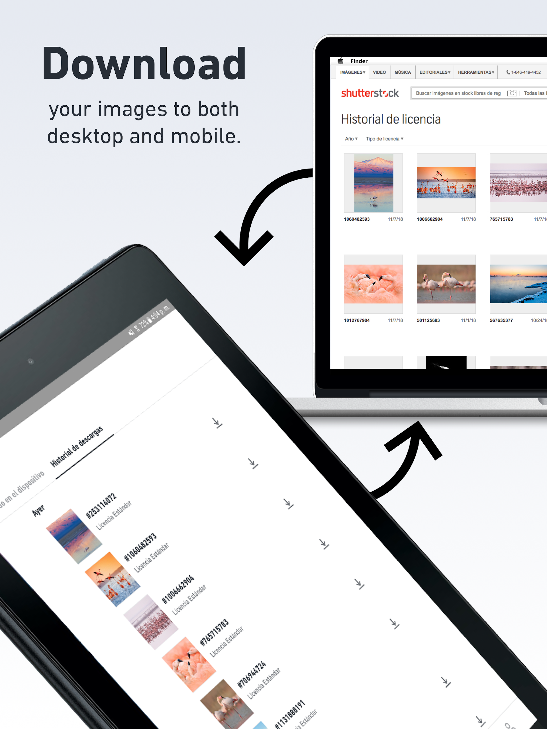 Shutterstock Screenshot 11