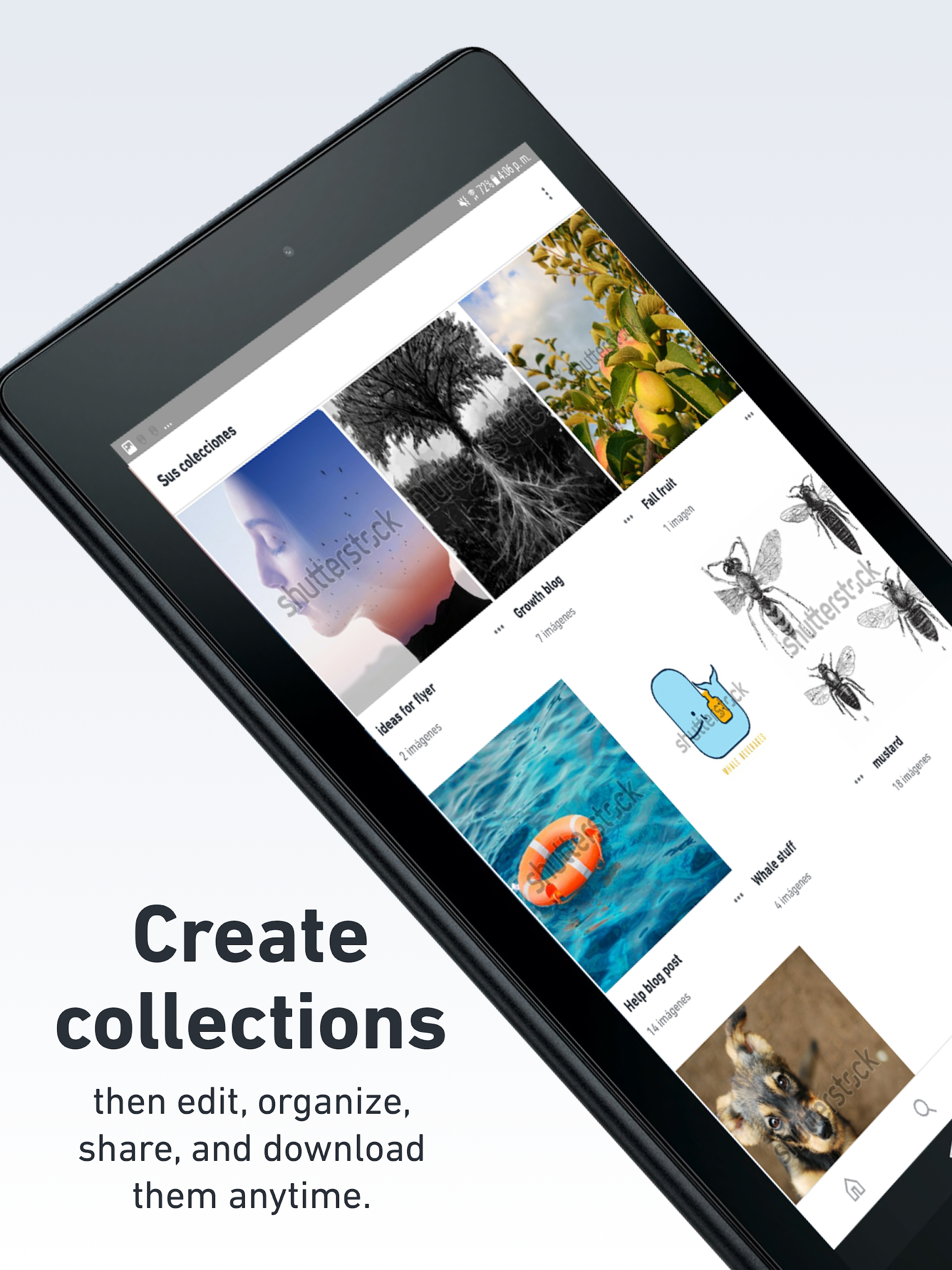 Shutterstock Screenshot 12