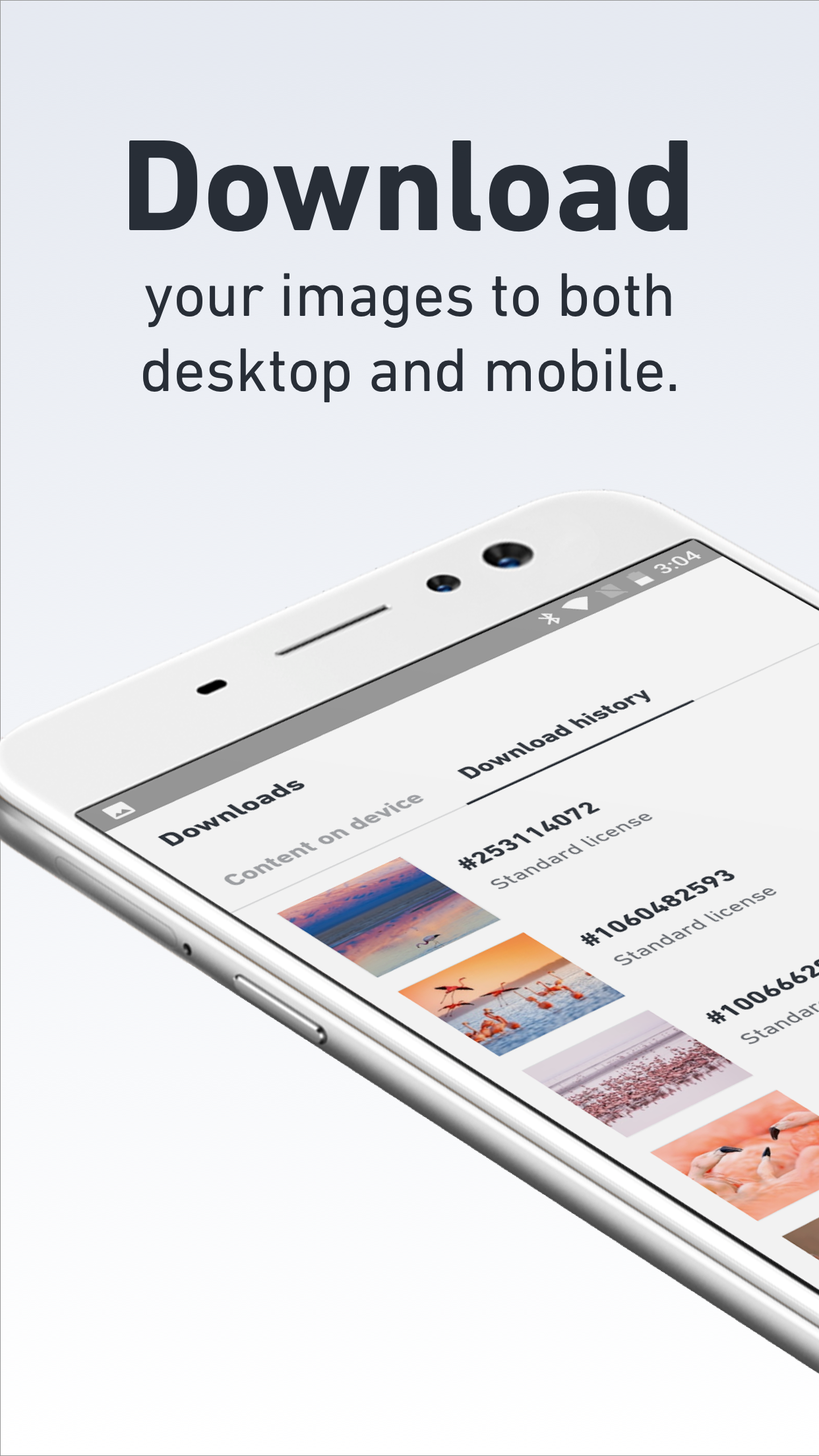 Shutterstock Screenshot 4
