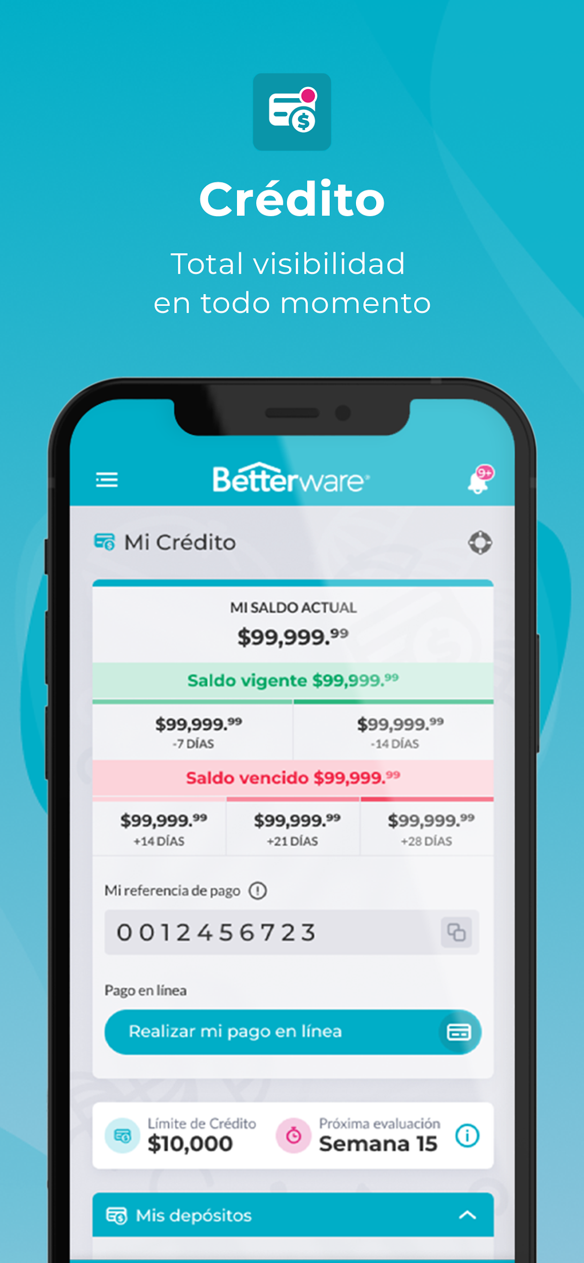 Betterware+ Screenshot 4